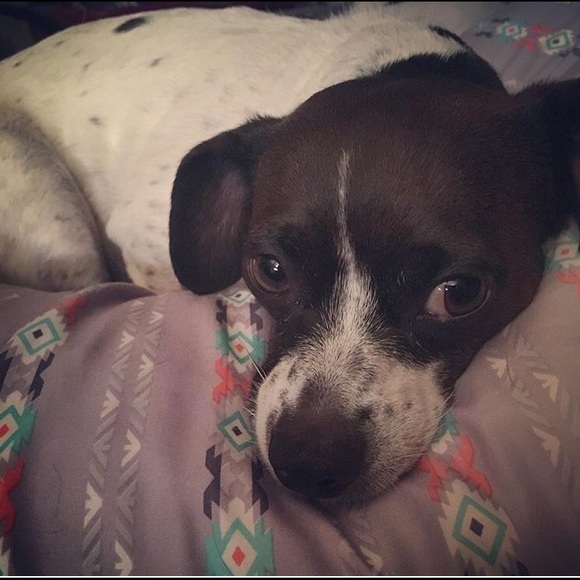 5 Star ratings >400, top seller, fast shipper! - Picture 7 of 8